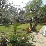 Mas Baixauli - Three Bedroom